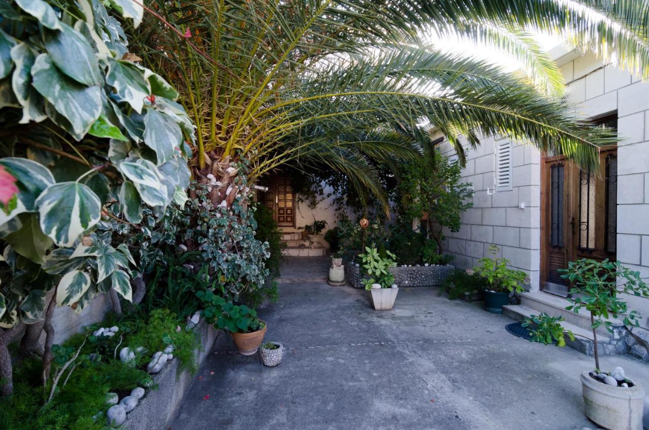Guest house & Cvita